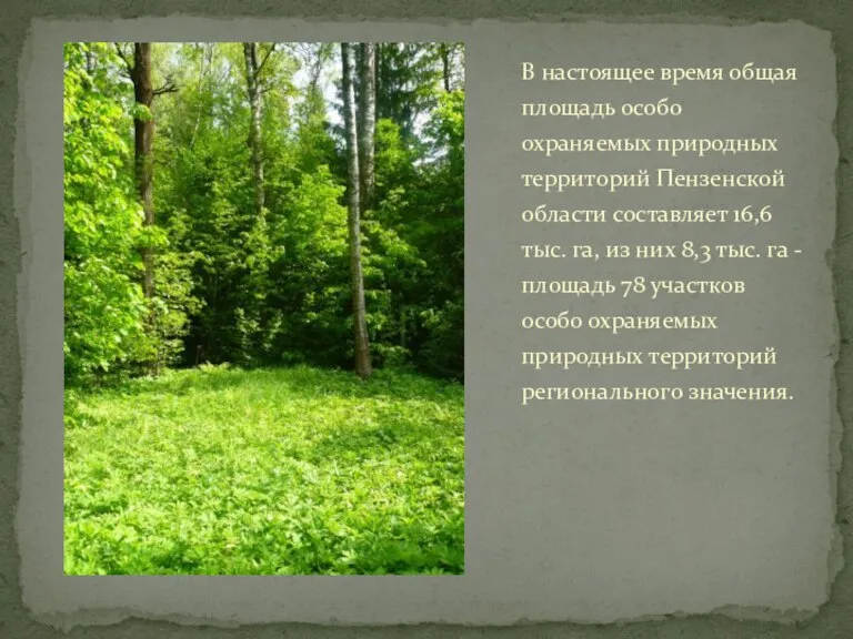 В настоящее время общая площадь особо охраняемых природных территорий Пензенской области составляет