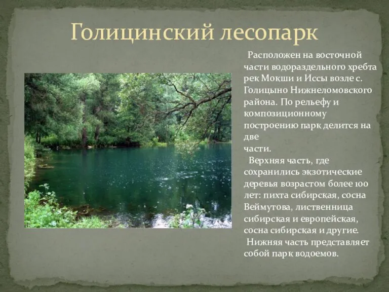 Голицинский лесопарк Расположен на восточной части водораздельного хребта рек Мокши и Иссы