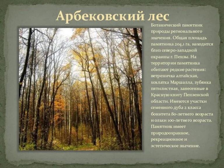Арбековский лес Ботанический памятник природы регионального значения. Общая площадь памятника 204,1 га,