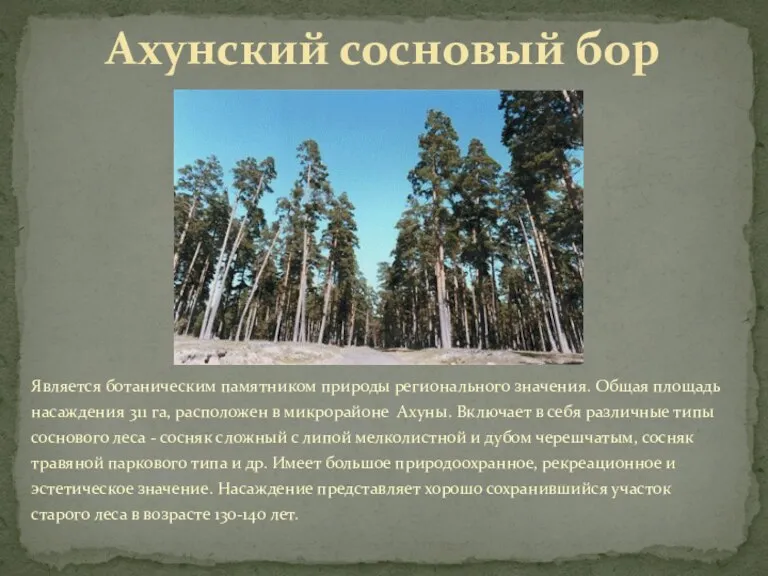 Является ботаническим памятником природы регионального значения. Общая площадь насаждения 311 га, расположен