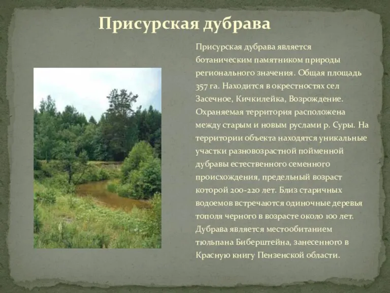 Присурская дубрава является ботаническим памятником природы регионального значения. Общая площадь 357 га.