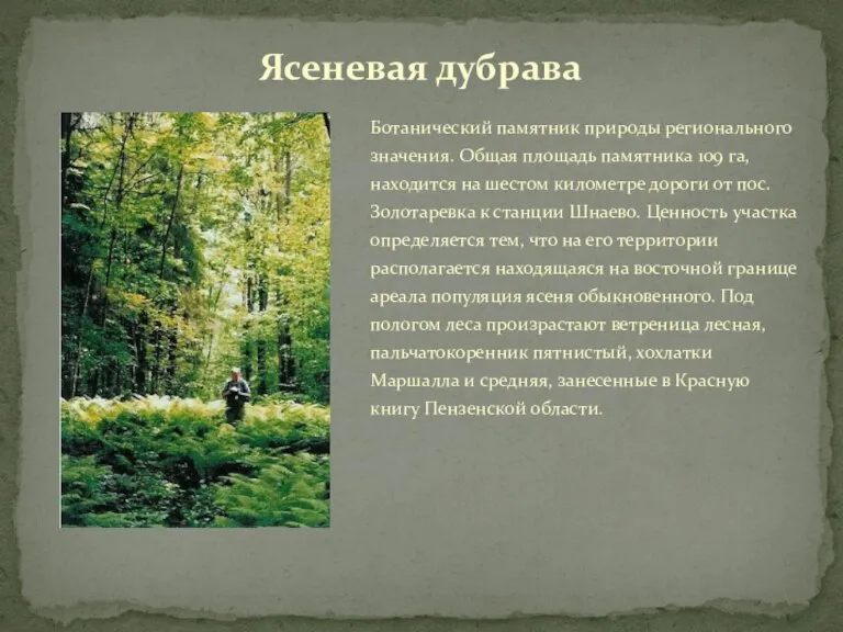 Ботанический памятник природы регионального значения. Общая площадь памятника 109 га, находится на