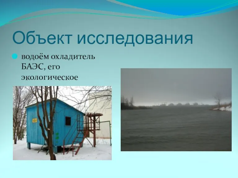 Объект исследования водоём охладитель БАЭС, его экологическое состояние.