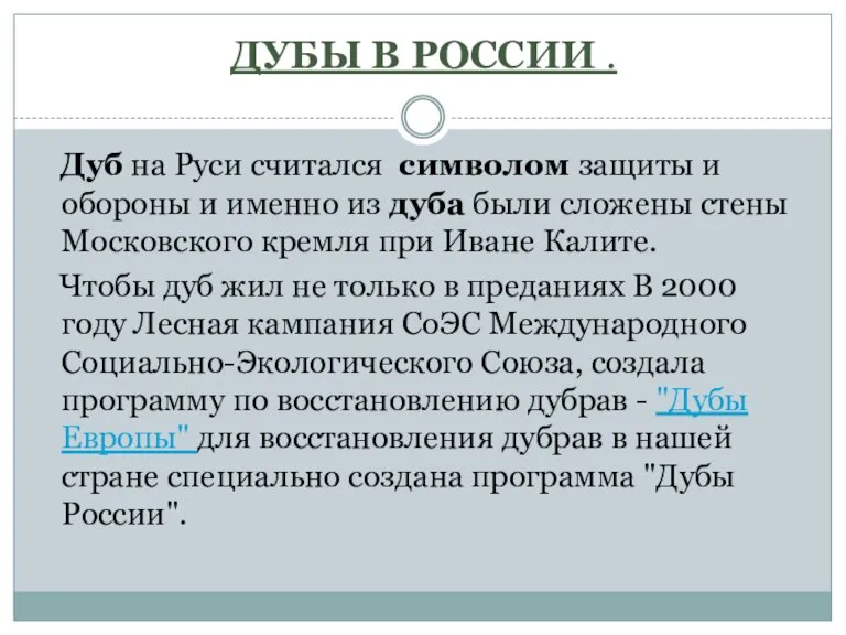 ДУБЫ В РОССИИ . Дуб на Руси считался символом защиты и обороны