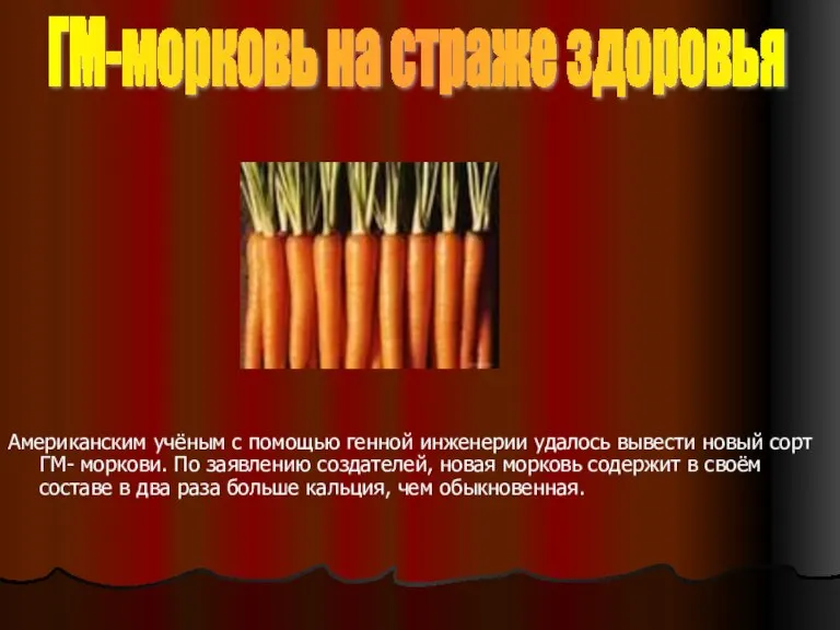 Американским учёным с помощью генной инженерии удалось вывести новый сорт ГМ- моркови.