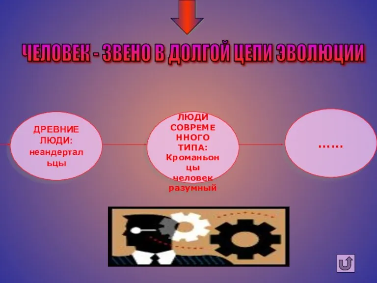 ЧЕЛОВЕК - ЗВЕНО В ДОЛГОЙ ЦЕПИ ЭВОЛЮЦИИ ДРЕВНИЕ ЛЮДИ: неандертальцы ЛЮДИ СОВРЕМЕ