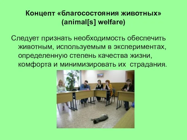 Концепт «благосостояния животных» (animal[s] welfare) Следует признать необходимость обеспечить животным, используемым в