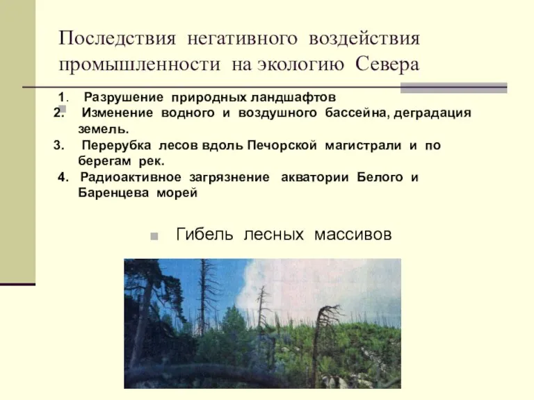 Последствия негативного воздействия промышленности на экологию Севера Гибель лесных массивов 1. Разрушение