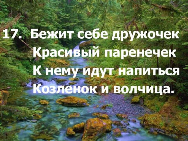 17. Бежит себе дружочек Красивый паренечек К нему идут напиться Козленок и волчица.