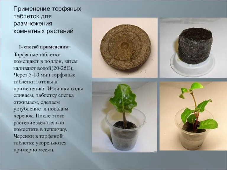 Применение торфяных таблеток для размножения комнатных растений 1- способ применения: Торфяные таблетки