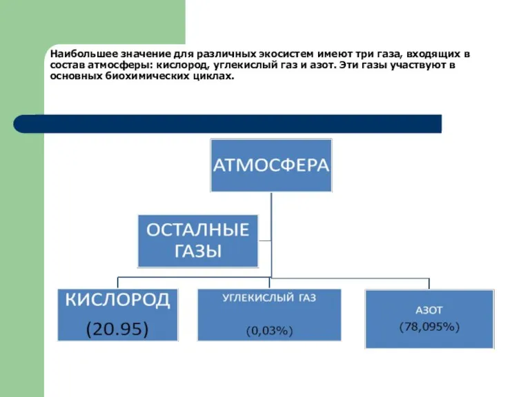 Наибольшее значение для различных экосистем имеют три газа, входящих в состав атмосферы: