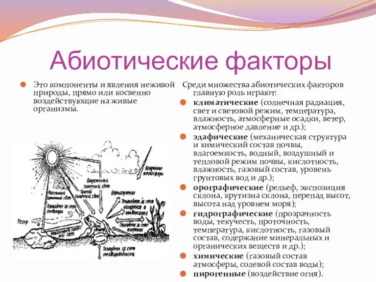 Абиотические факторы Это компоненты и явления неживой природы, прямо или косвенно воздействующие