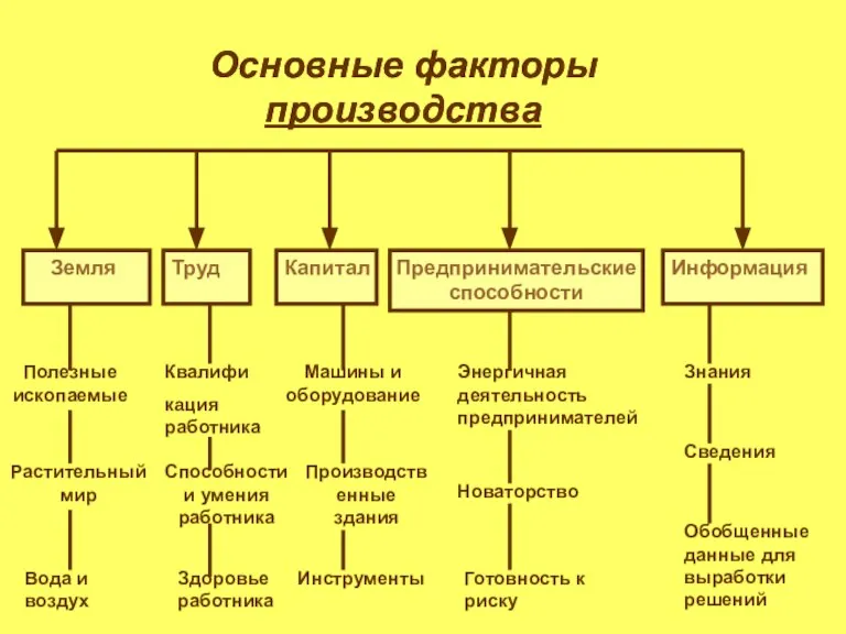 Основные факторы производства Земля Труд Капитал Предпринимательские способности Информация Полезные ископаемые Растительный