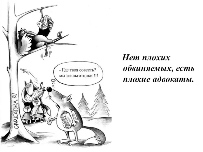 Слово предоставляется Лисе - обвиняемой Нет плохих обвиняемых, есть плохие адвокаты.