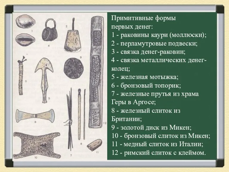 Примитивные формы первых денег: 1 - раковины каури (моллюски); 2 - перламутровые