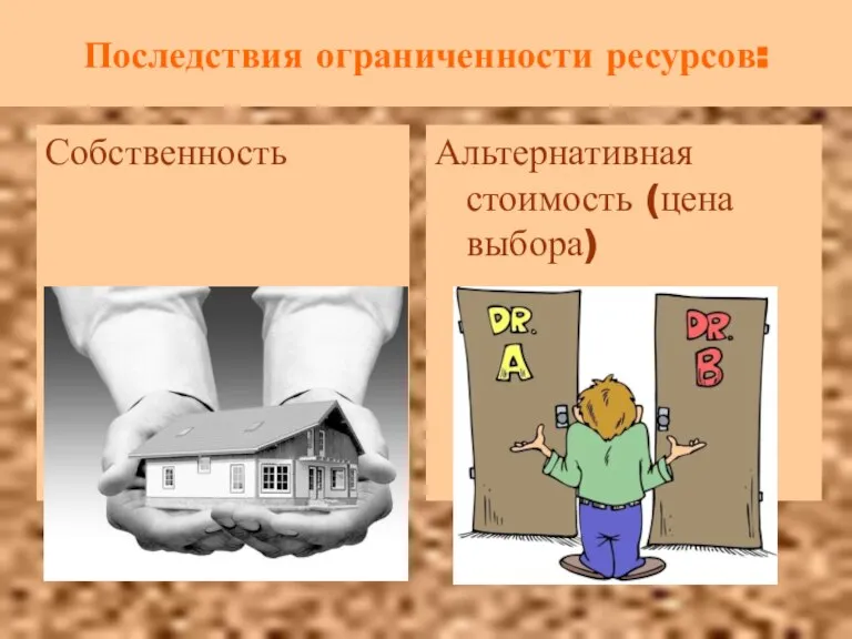 Последствия ограниченности ресурсов: Собственность Альтернативная стоимость (цена выбора)