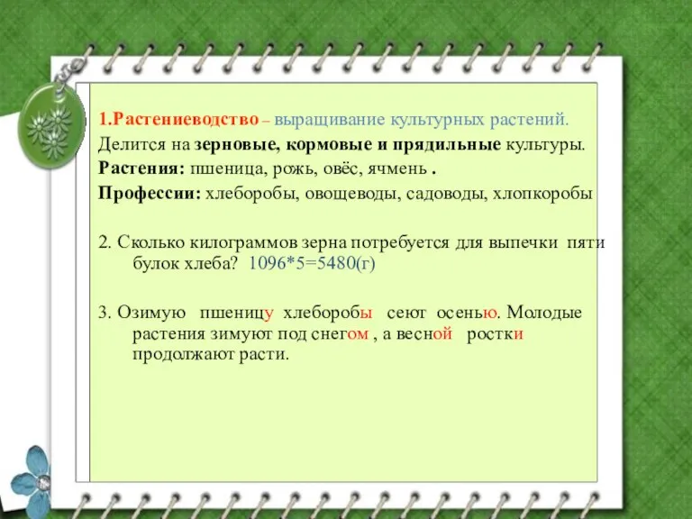 1.Растениеводство – выращивание культурных растений. Делится на зерновые, кормовые и прядильные культуры.