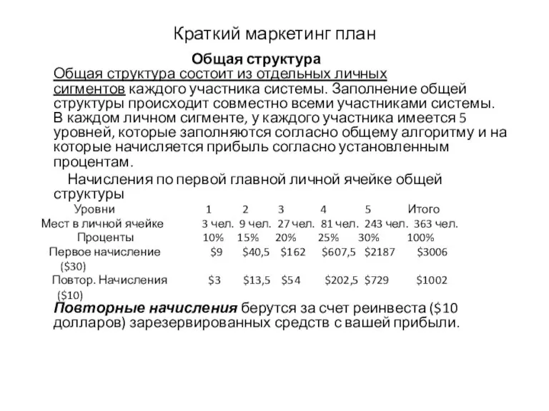 Краткий маркетинг план Общая структура Общая структура состоит из отдельных личных сигментов