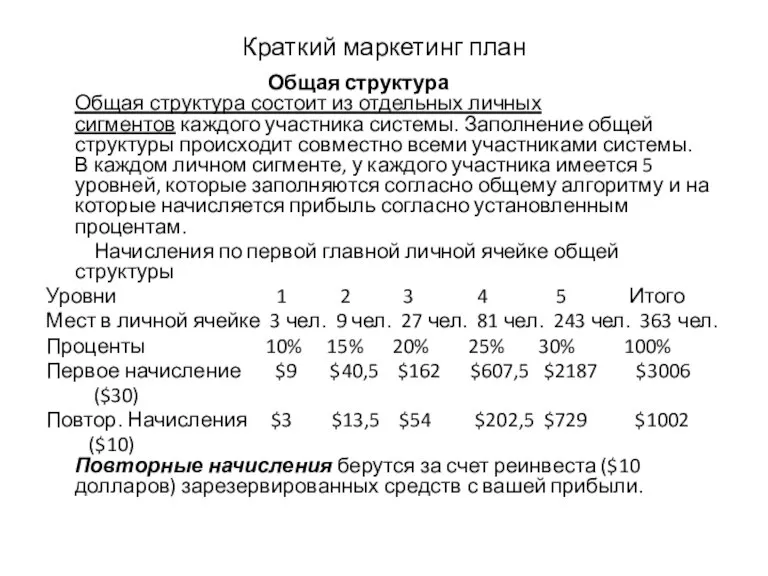 Краткий маркетинг план Общая структура Общая структура состоит из отдельных личных сигментов