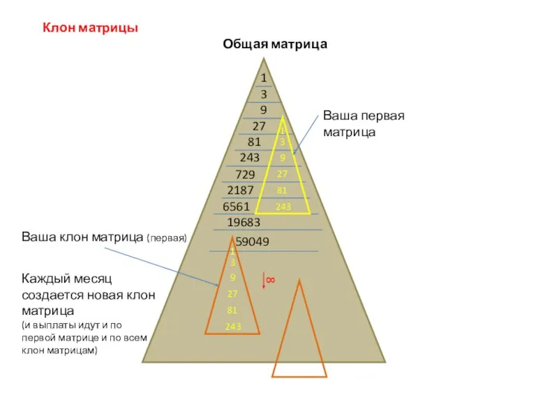 Клон матрицы Общая матрица 1 3 9 27 81 243 729 2187