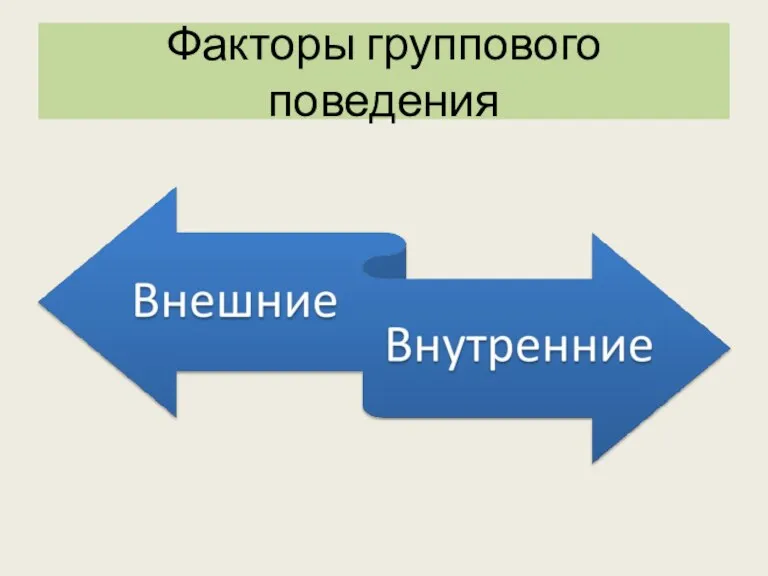 Факторы группового поведения