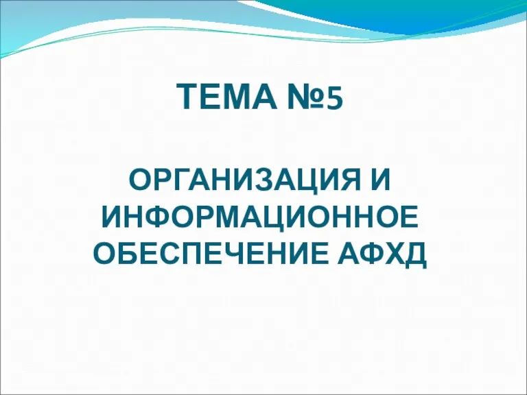 ТЕМА №5 ОРГАНИЗАЦИЯ И ИНФОРМАЦИОННОЕ ОБЕСПЕЧЕНИЕ АФХД