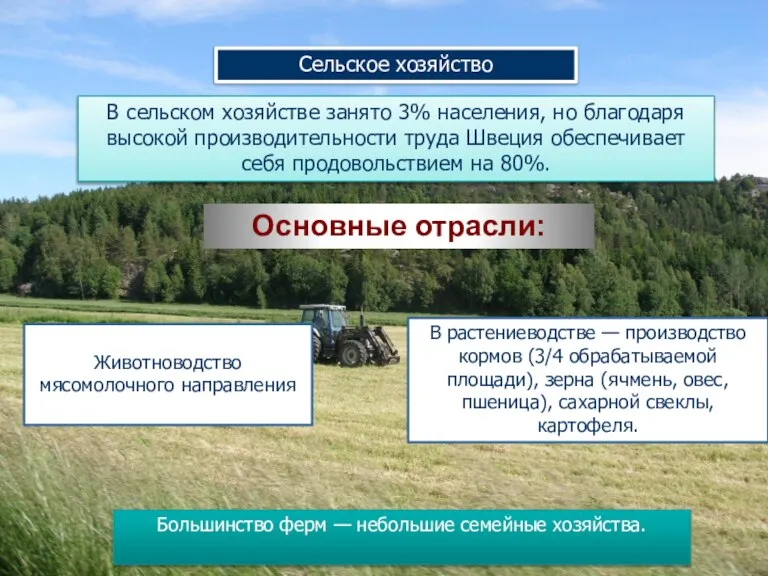 Сельское хозяйство В сельском хозяйстве занято 3% населения, но благодаря высокой производительности