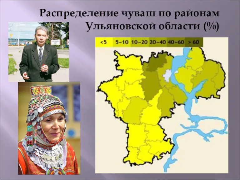 Распределение чуваш по районам Ульяновской области (%)