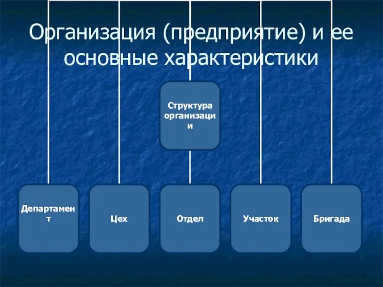 Организация (предприятие) и ее основные характеристики