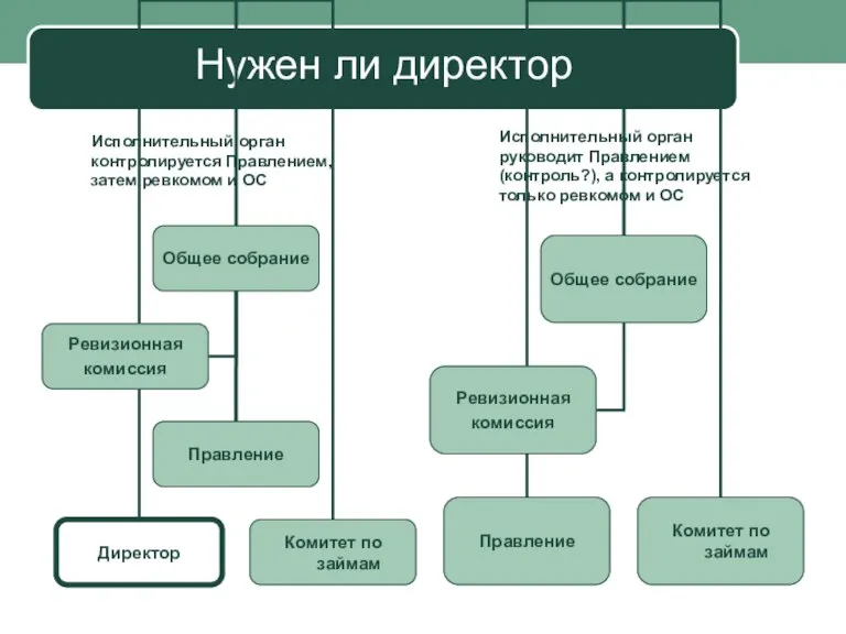 Нужен ли директор Исполнительный орган контролируется Правлением, затем ревкомом и ОС Исполнительный