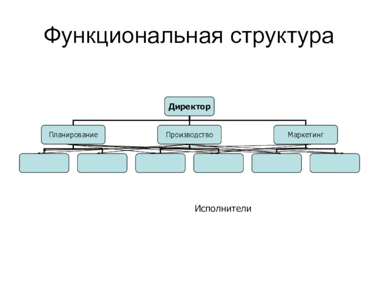 Функциональная структура Исполнители