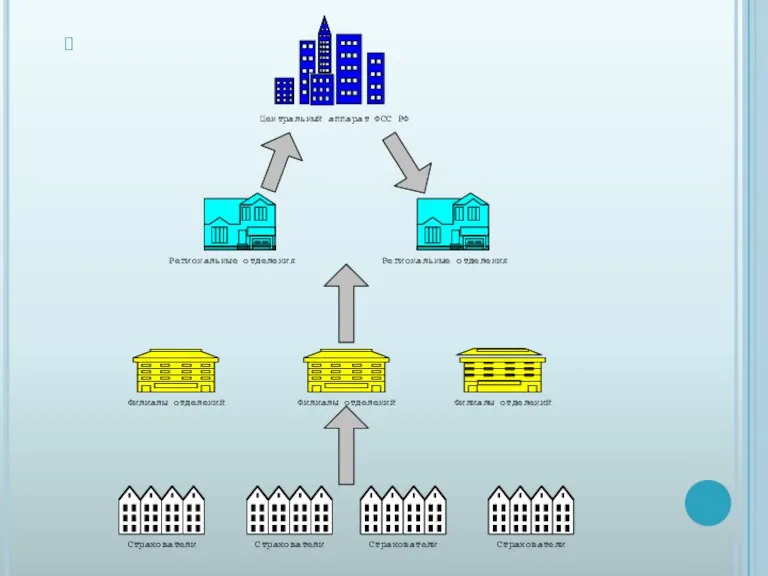 Центральный аппарат ФСС РФ Страхователи Филиалы отделений Региональные отделения Региональные отделения Филиалы