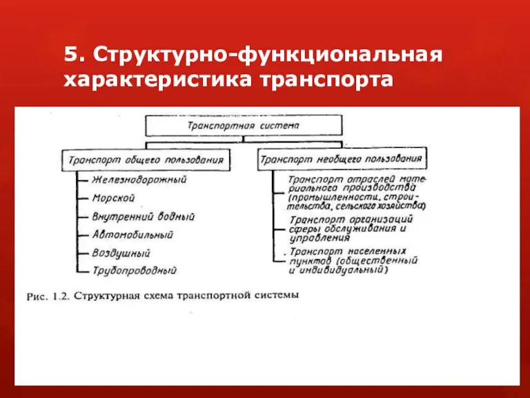 5. Структурно-функциональная характеристика транспорта