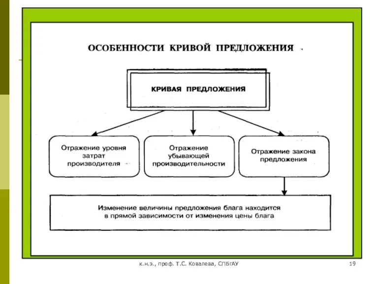 к.н.э., проф. Т.С. Ковалева, СПБгАУ