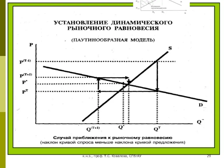 к.н.э., проф. Т.С. Ковалева, СПБгАУ