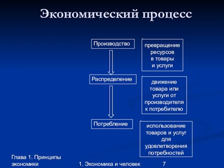 Глава 1. Принципы экономики 1. Экономика и человек Экономический процесс Производство Распределение