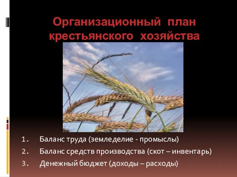 Организационный план крестьянского хозяйства Баланс труда (земледелие - промыслы) Баланс средств производства