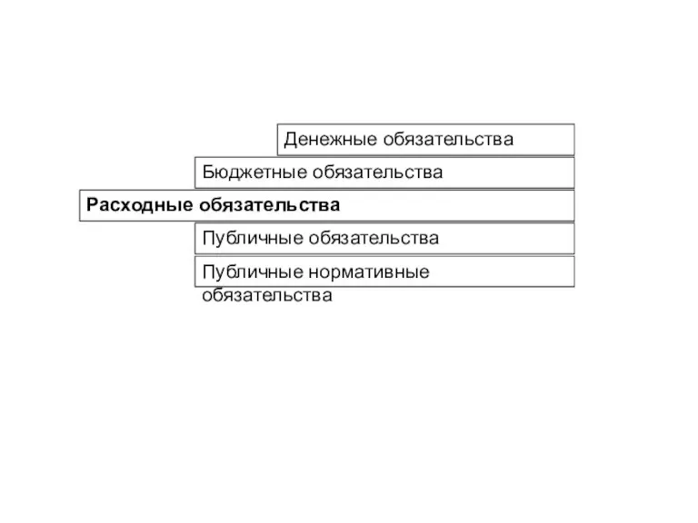 Расходные обязательства Бюджетные обязательства Денежные обязательства Публичные обязательства Публичные нормативные обязательства