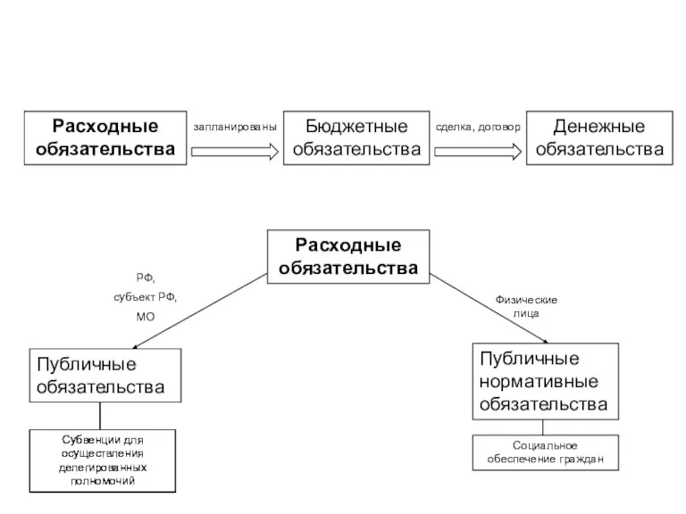 Расходные обязательства Бюджетные обязательства Денежные обязательства Публичные обязательства Публичные нормативные обязательства запланированы