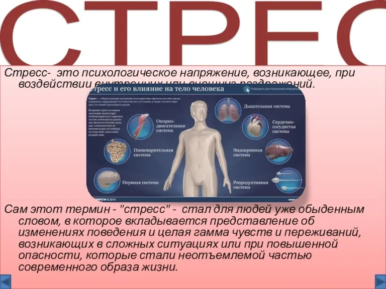 СТРЕСС Стресс- это психологическое напряжение, возникающее, при воздействии внутренних или внешниз раздражений.