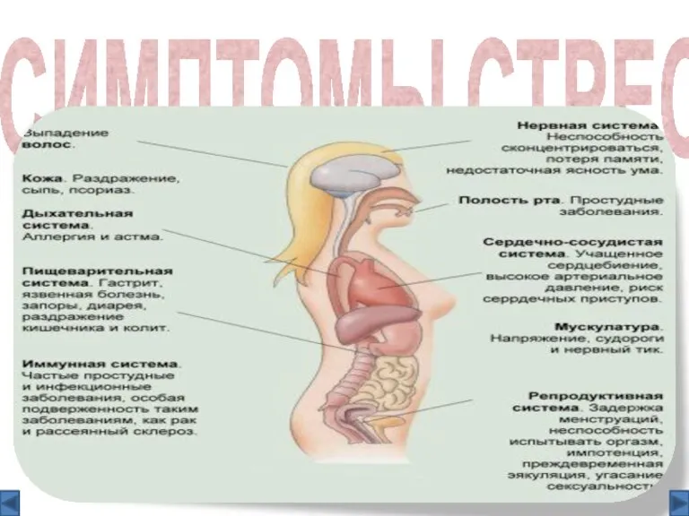 СИМПТОМЫ СТРЕССА