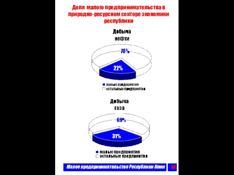 Малое предпринимательство Республики Коми Доля малого предпринимательства в природно-ресурсном секторе экономики республики