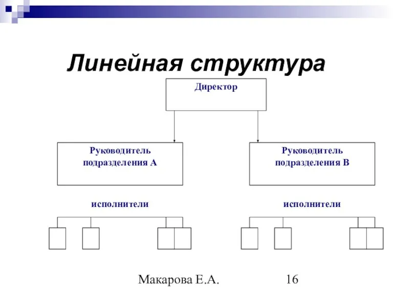 Макарова Е.А. Линейная структура
