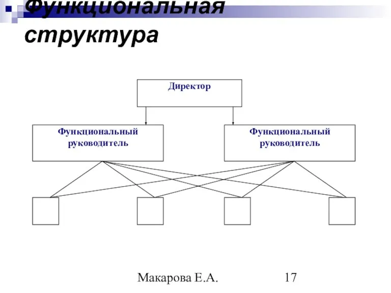 Макарова Е.А. Функциональная структура