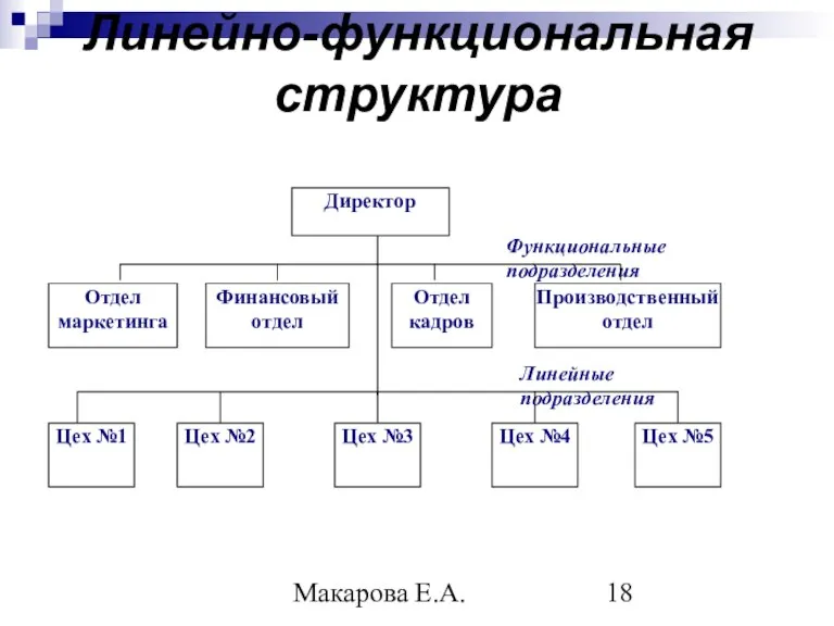 Макарова Е.А. Линейно-функциональная структура