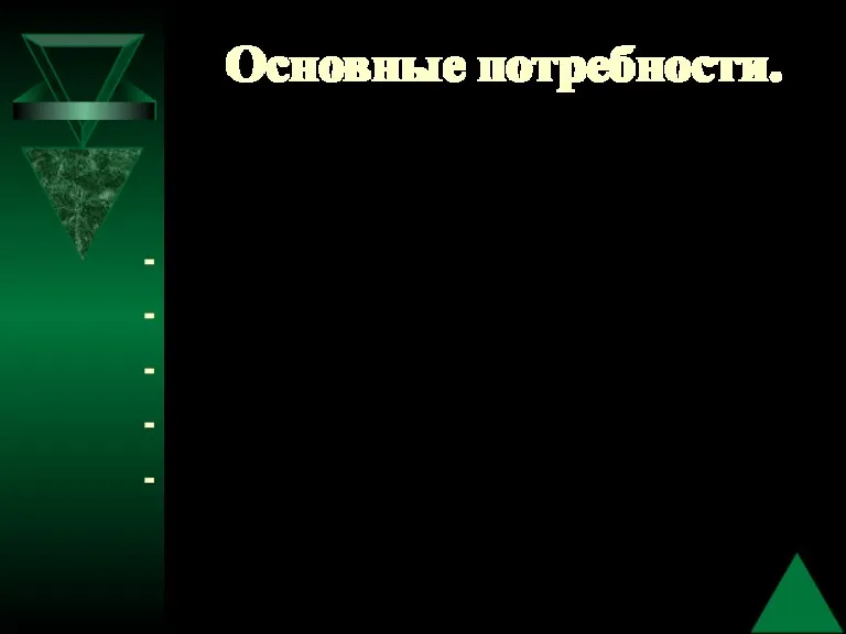 Основные потребности. Какие основные потребности человека вы знаете? В пище В одежде