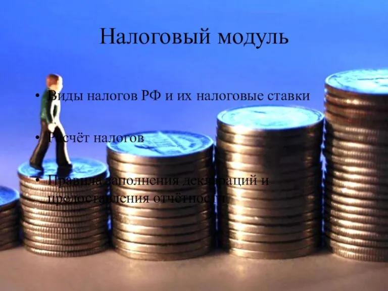 Налоговый модуль Виды налогов РФ и их налоговые ставки Расчёт налогов Правила