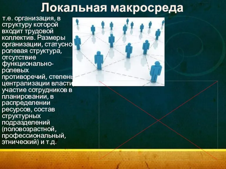 Локальная макросреда т.е. организация, в структуру которой входит трудовой коллектив. Размеры организации,