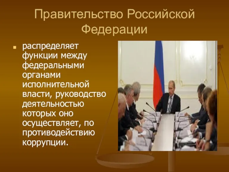 Правительство Российской Федерации распределяет функции между федеральными органами исполнительной власти, руководство деятельностью