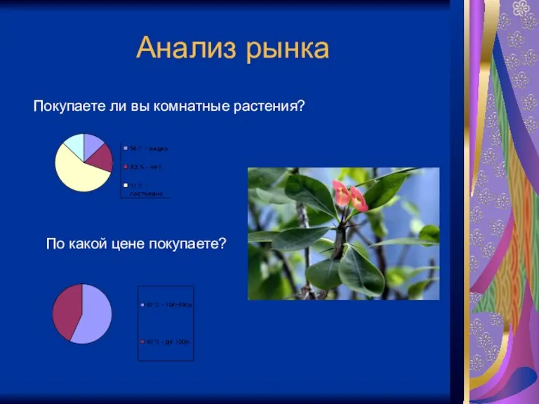 Анализ рынка Покупаете ли вы комнатные растения? По какой цене покупаете?